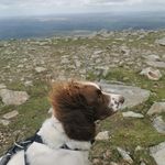 Chris Horsley - @chorsley986 - Instagram