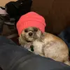 UnknownState - @chris.horsley22 - TikTok