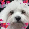 Chris Horst - @chris.horst8 - TikTok