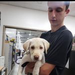 Chris Houle - @houle.chris - Instagram