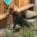 Christopher Housewright - Facebook