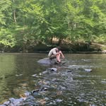 Chris Thueux - @chris_houtrakker - Instagram