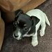 Chris Howes - Facebook