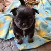 chrishund7 - @chris.hund0 - TikTok