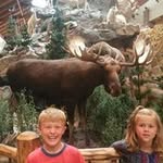 Chris Husek - @chrishusek73 - Instagram