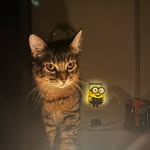 chris huseman - @chris45985 - Instagram