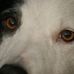 Christine Huser - Facebook