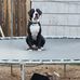 Christi Husted - Facebook