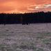 Chris Hynson - Facebook