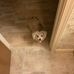 Chris Ingle - Facebook