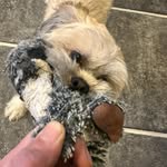 Chris Innes - @fingoidz84 - Instagram