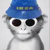 Chris innes - @chris_innes4 - TikTok