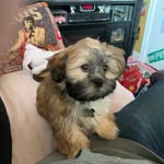 Chris Innes - @fingoidz - Instagram