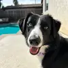 chrissy - @chrissyisaacson - TikTok