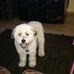 Christopher Isaacson - Facebook