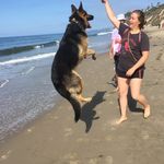 Chris Iverson - @chris.iverson - Instagram