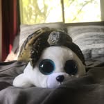 Christel Iwanski - @tellablue - Instagram