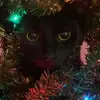 chrisjachowicz - @chrisjachowicz - TikTok
