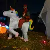 Chris Jackowski - @chris.jackowski2 - TikTok