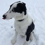 Chris Jacoby - @jacoby1976 - Instagram