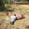 chrisjacoby136 - @chrisjacoby136 - TikTok