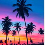 Chris Jacome - @_chris360 - Instagram