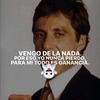 Chris Jacome - @chris.jacome8 - TikTok