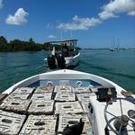 Chris Jaffe - @crawfishchriskw - Instagram
