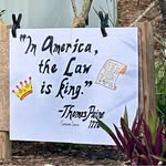 Chris Lunney Jaffe - @chrislunney - Instagram