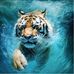 Christophe Janda - Facebook