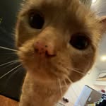 Christopher Ryan Janish - @chrisjanish - Instagram