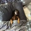 Chris Janowski959 - @chrisjanowski1 - TikTok