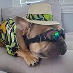 Chris Janson - @janson926 - Instagram