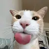 chrisandra_jasmin - @chrisandra_jasmin - TikTok