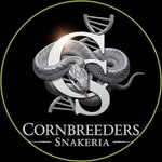 Chris&Jenny - @cornbreeders_snakeria - Instagram