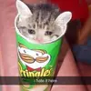 Chris joiner - @tuxedo______ - TikTok