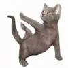 Chris Joiner - @chris.joiner8 - TikTok