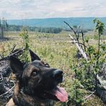 Chris Jørgensen - @chris.jorgensen_99 - Instagram
