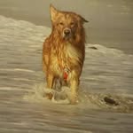 Chris Tel Jost - @chris_tel_jost - Instagram