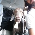 Chris Juredin - @chrisjuredin - Instagram