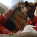 Chris Kain - Facebook
