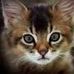 Christiane Kalka - Facebook