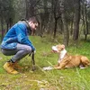 chris.kaperonis - @chris.kaperonis - TikTok