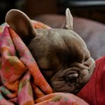 Chris Kappler - @chris.kappler - Instagram