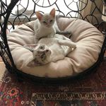 Chris Kast - @kast_chris - Instagram