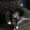 Chris Katona - @katona008 - TikTok