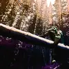 Chris Keithley - @spiritofthewoodmaxxp - TikTok