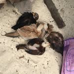 chriskellner - @chriskellner - Instagram
