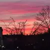 christinekerth6 - @christinekerth6 - TikTok