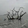 Chris Kidwell - @2184773797 - TikTok